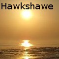 SharonHawkshawe